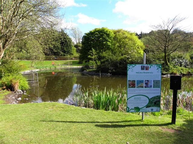 Discovering Belfast Zoo